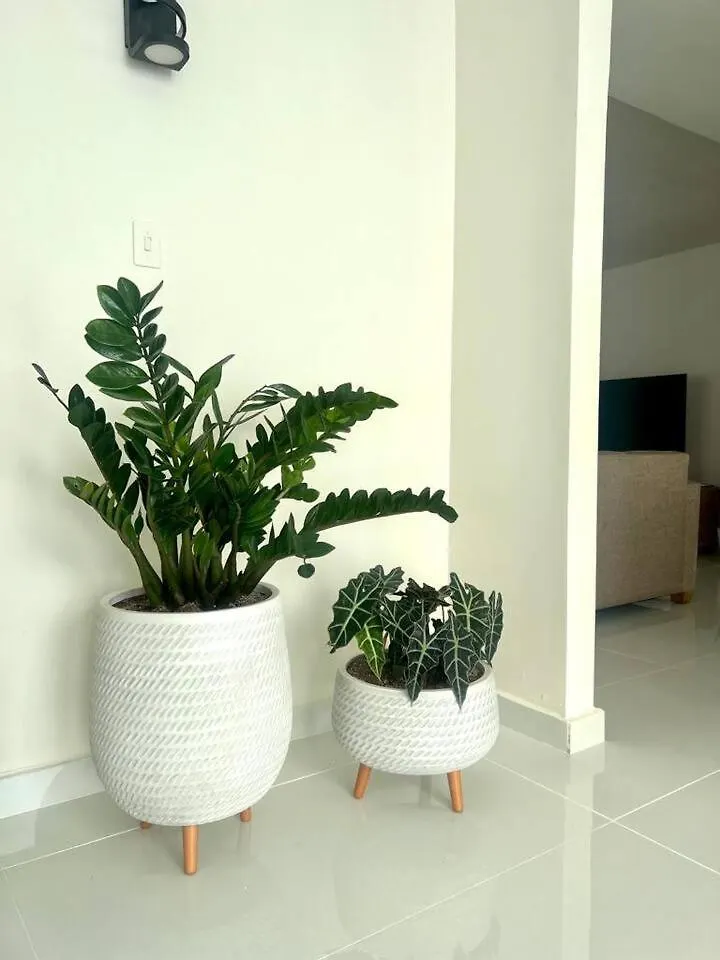 Tranquil Retreat Beautiful House Villa San Juan Puerto Rico
